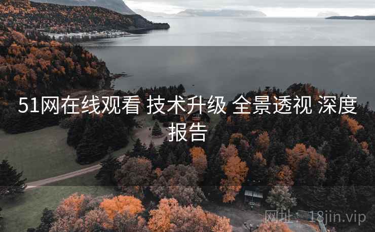 51网在线观看 技术升级 全景透视 深度报告