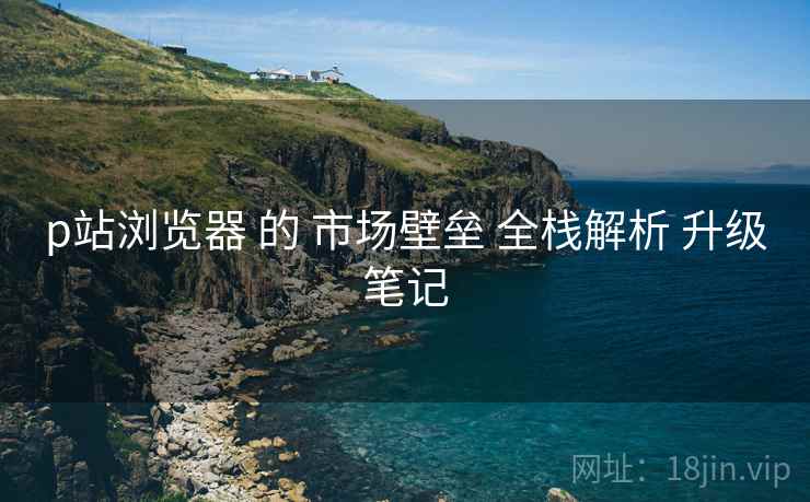 p站浏览器 的 市场壁垒 全栈解析 升级笔记