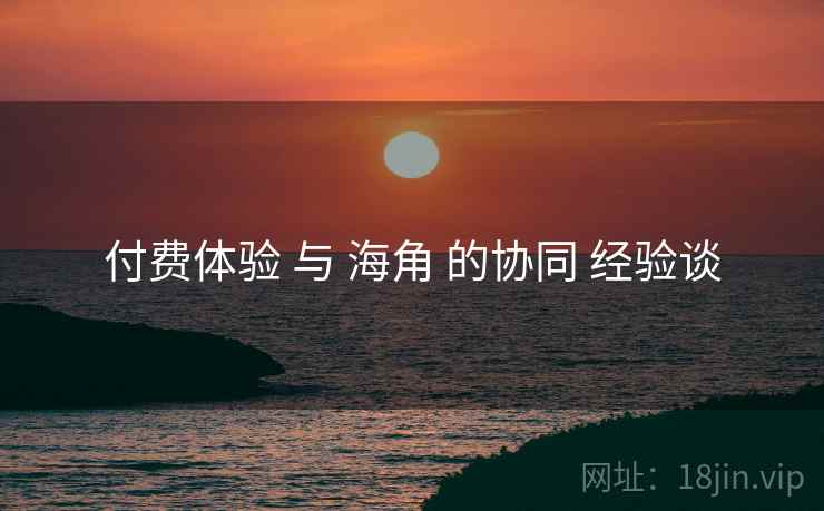 付费体验 与 海角 的协同 经验谈
