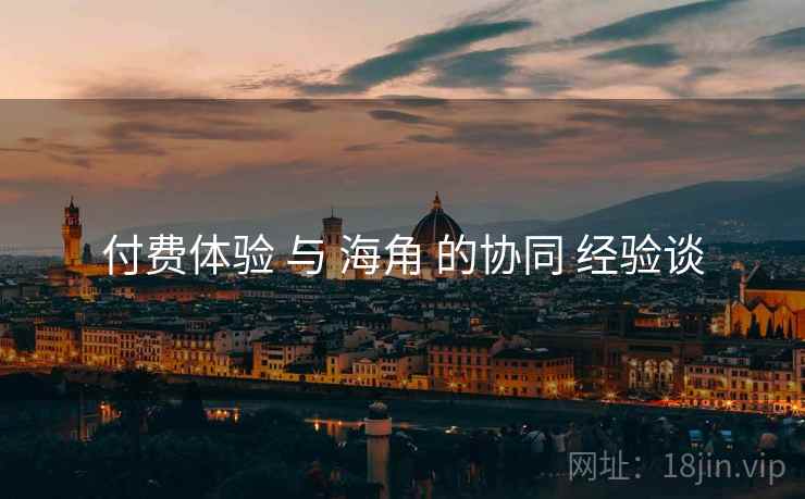 付费体验 与 海角 的协同 经验谈