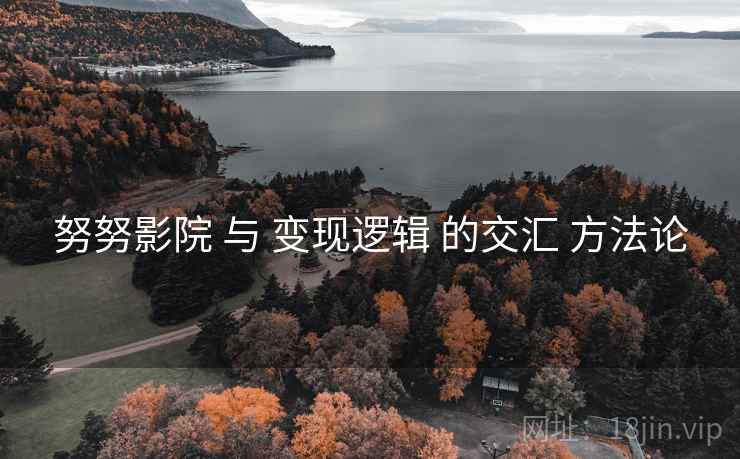 努努影院 与 变现逻辑 的交汇 方法论