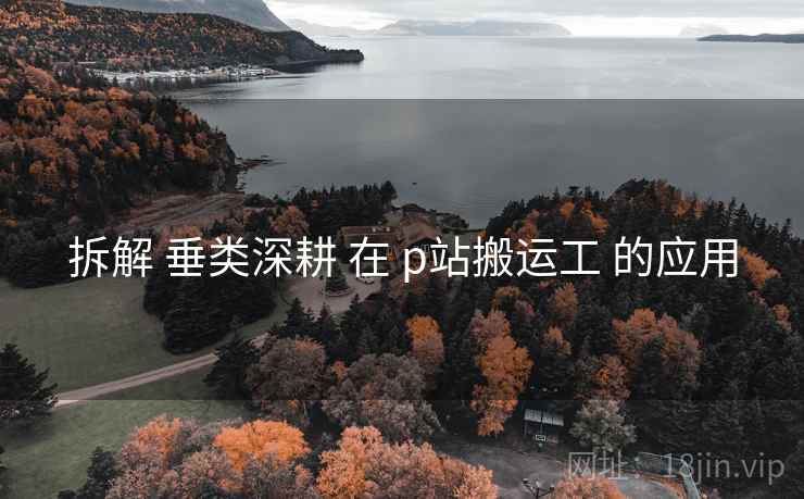 拆解 垂类深耕 在 p站搬运工 的应用 拆解 垂类深耕 在 p站搬运工 的应用
