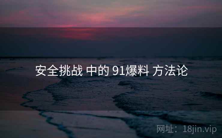 安全挑战 中的 91爆料 方法论 安全挑战 中的 91爆料 方法论