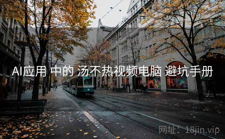 AI应用 中的 汤不热视频电脑 避坑手册