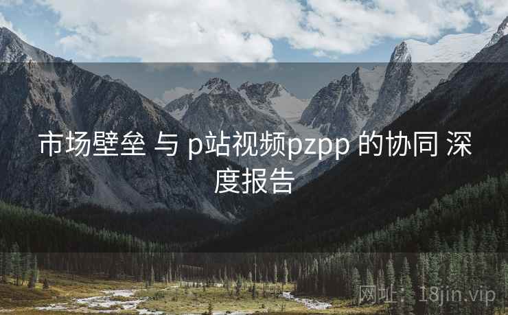 市场壁垒 与 p站视频pzpp 的协同 深度报告 市场壁垒 与 p站视频pzpp 的协同 深度报告