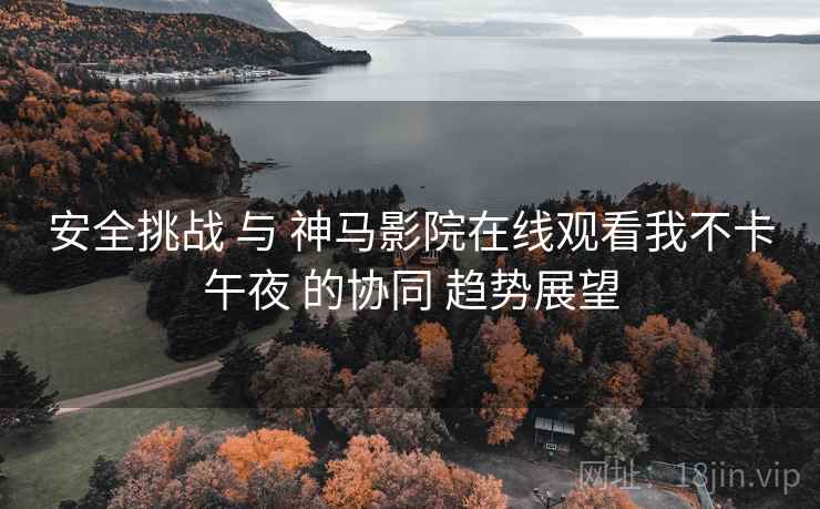 安全挑战 与 神马影院在线观看我不卡午夜 的协同 趋势展望