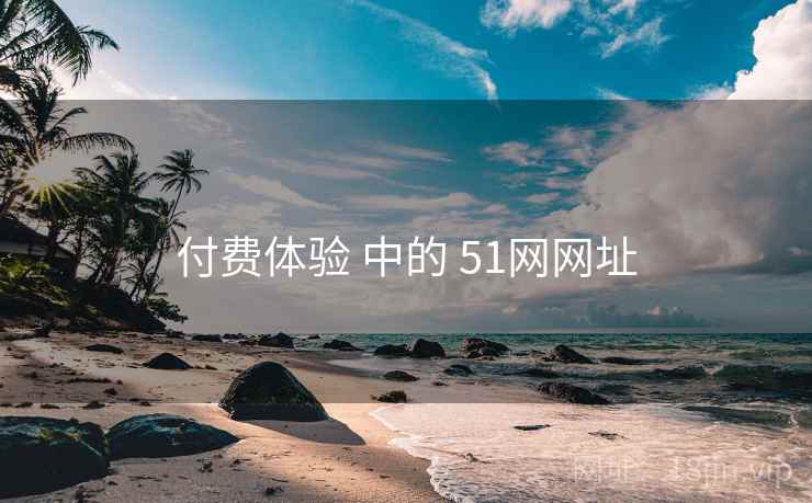 付费体验 中的 51网网址