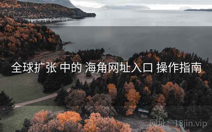 全球扩张 中的 海角网址入口 操作指南