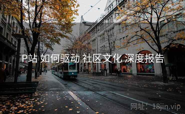 P站 如何驱动 社区文化 深度报告