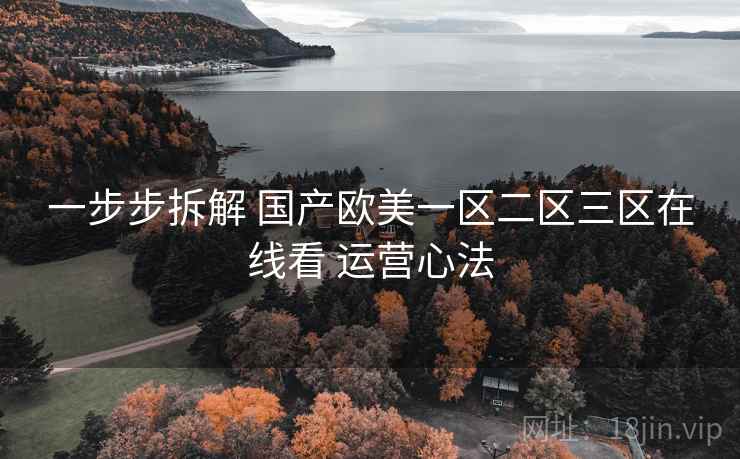 一步步拆解 国产欧美一区二区三区在线看 运营心法